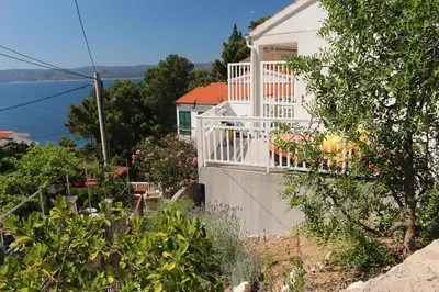 Priroda u blizini apartmana