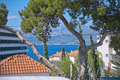 Priroda u blizini apartmana