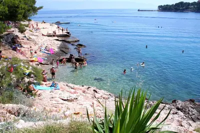 Priroda u blizini apartmana