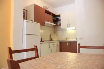 Kuhinja ili čajna kuhinja u objektu Apartments Delic