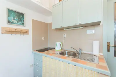 Kuhinja ili čajna kuhinja u objektu Apartman ORLOVAC
