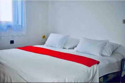 Krevet ili kreveti u jedinici u objektu Apartment Mila