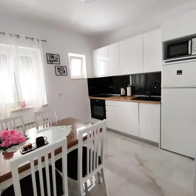Kuhinja ili čajna kuhinja u objektu Apartman Rivana