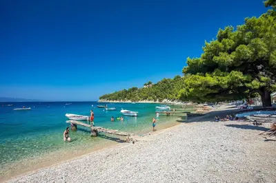 Priroda u blizini vila