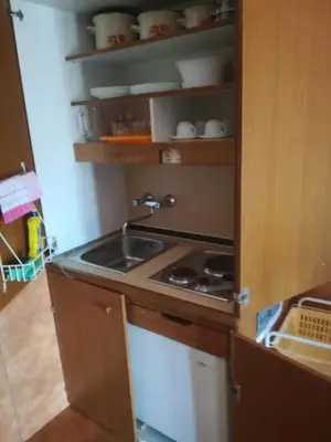 Kuhinja ili čajna kuhinja u objektu Apartmani Ujdur
