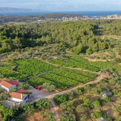 Holiday house with a parking space Pitve