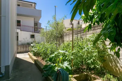 Vrt u objektu Apartments with parking space Podstrana, Split - 17586