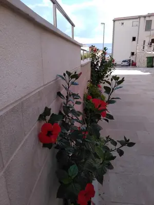 Tlocrt objekta Makarska sea view rooms