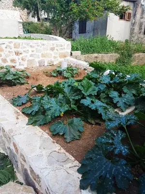 Vrt u objektu Kuća za odmor Dobrila