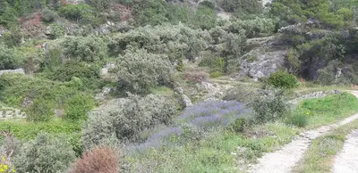 Priroda u blizini privatnih smještaja
