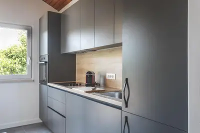 Kuhinja ili čajna kuhinja u objektu Center apartment Golden Ray