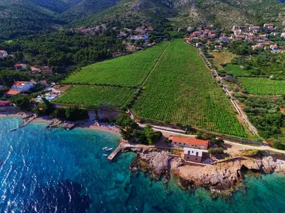Priroda u blizini vila