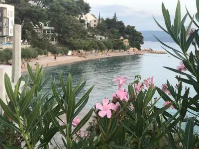 Priroda u blizini apartmana