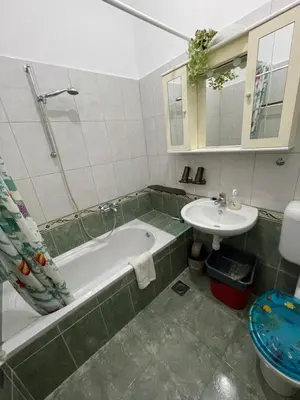 Kupaonica u objektu Apartments Villa More