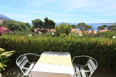 Priroda u blizini apartmana