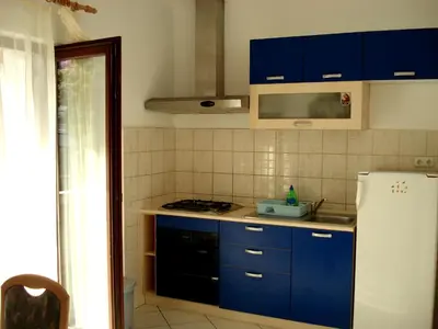 Kuhinja ili čajna kuhinja u objektu Guest House Karević