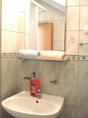 Kupaonica u objektu Guest House Karević