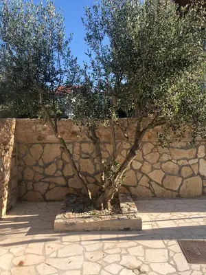 Tlocrt objekta House Sidro, Stari Grad