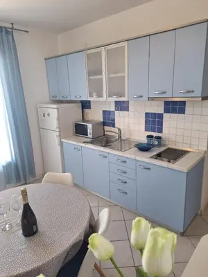Kuhinja ili čajna kuhinja u objektu Villa Albatros