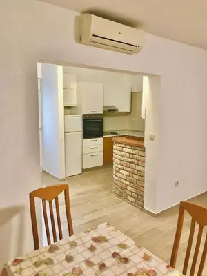 Kuhinja ili čajna kuhinja u objektu Apartmani Ružica