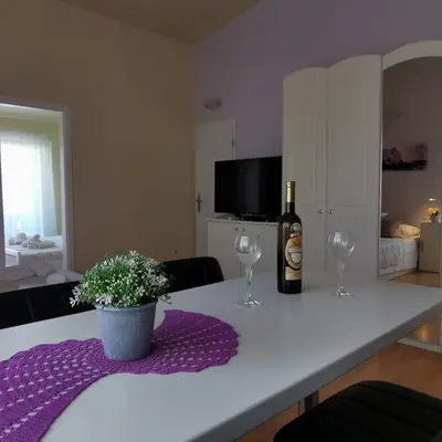 TV i/ili zabavni centar u objektu Apartmani Zuzana