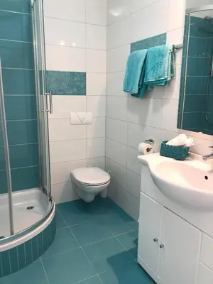 Kupaonica u objektu Apartments Antonia