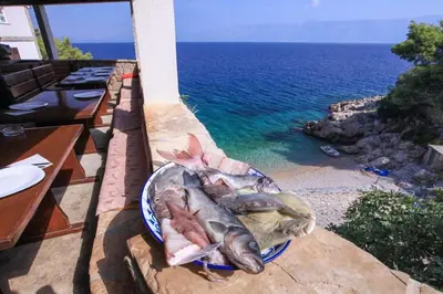 Priroda u blizini apartmana