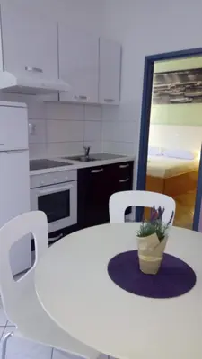 Kuhinja ili čajna kuhinja u objektu Villa Promajna 4