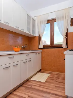 Kuhinja ili čajna kuhinja u objektu Apartments Draganic