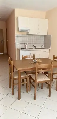 Kuhinja ili čajna kuhinja u objektu Vila Jela
