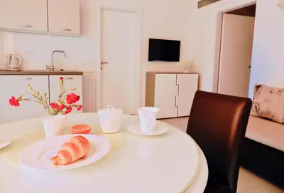TV i/ili zabavni centar u objektu Diamant Apartments