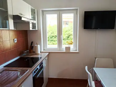 Kuhinja ili čajna kuhinja u objektu Apartments Vig