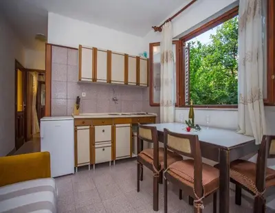 Kuhinja ili čajna kuhinja u objektu Apartments and Room Anita
