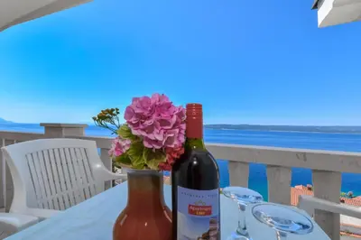 Priroda u blizini apartmana