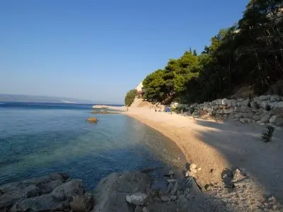 Priroda u blizini apartmana