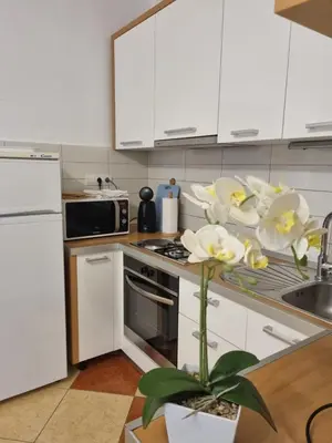 Kuhinja ili čajna kuhinja u objektu Apartment Zora