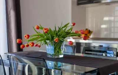Kuhinja ili čajna kuhinja u objektu Villa Azalea apartments A3