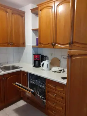 Kuhinja ili čajna kuhinja u objektu Apartman Mira