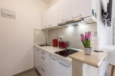 Kuhinja ili čajna kuhinja u objektu APARTMENTS Petra studio