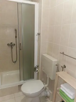 Kupaonica u objektu Apartman Pod Forticu