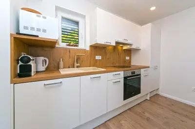 Kuhinja ili čajna kuhinja u objektu Apartman Macan