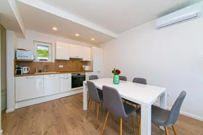 Kuhinja ili čajna kuhinja u objektu Apartman Macan