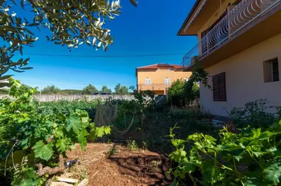 Vrt u objektu Apartments and rooms with parking space Jelsa - Hvar - 4028