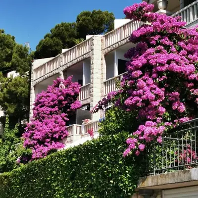 VILLA Bose