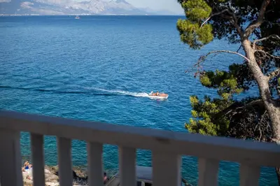 Priroda u blizini vila
