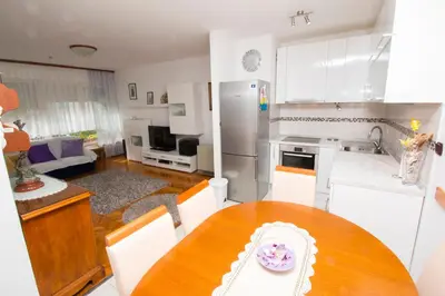 Kuhinja ili čajna kuhinja u objektu Apartman Seka