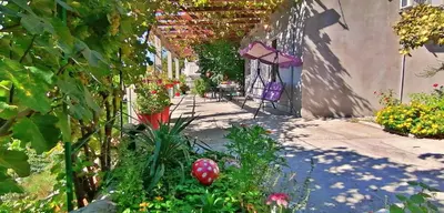 Vrt u objektu Apartments Đogo