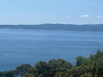 Priroda u blizini apartmana