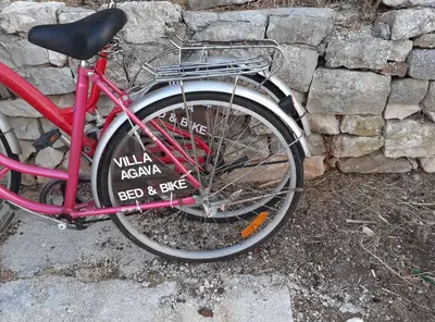 Vožnja biciklom pokraj objekta Apartments Agava & Lucija ili u blizini