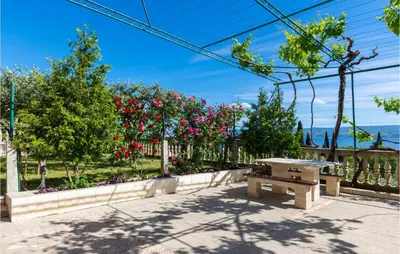 Priroda u blizini apartmana